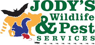 Over 34 years of pest control experience here in the las vegas valley in both commercial and residential. Wildlife Control Services In Northwest Indiana Jody S Wildlife And Pest Control Services