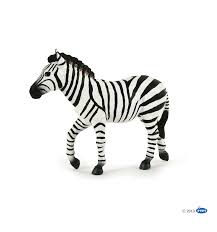 Zebra corporate communications is a global brand, leading the field in digital reporting. Male Zebra Papo