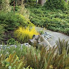 We did not find results for: A Deer Proof Garden Design For Dry Shade Finegardening