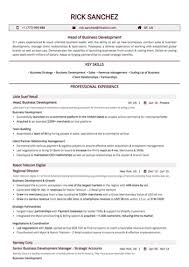 business development resume examples