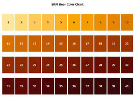 Srm Vs Ebc Under The Jenfluence