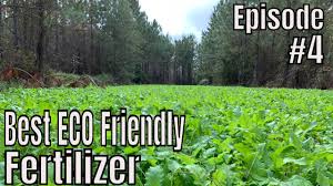 Fertilizer can make or break a food plot. Best Fertilizer For A Food Plot Cromalinsupport