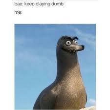 Stupid Bird From Finding Dory Follow Badgalronnie Bones Funny Relatable Boyfriend Memes
