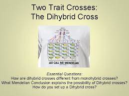 How to complete a dihybrid cross. Heredity And Genetics Part Two Dihybrid Crosses Two
