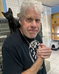 Visited the Humane Society here in Grand Cayman where this little kitty  made it clear he had my back! The good folks who run Humane Society's here  and everywhere are clearly doing