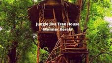 jungle jive tree house munnar kerala | tree house munnar kerala ...