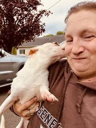 Pheasant surprise in Long Meadow ! Zoom in!