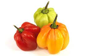 Apr 22, 2020 · 5. Scotch Bonnet Peppers Taste The Islands