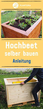Hochbeet Aus Holz Selber Bauen Elegant Oben Larche Zaun Kuchensch In 2020 Hochbeet Hochbeet Selber Bauen Hochbeet Selber Bauen Anleitung