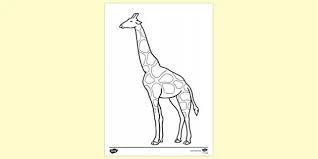 We did not find results for: Free Animal Giraffe Colouring Colouring Sheets