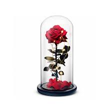 · a red rose encased in a glass dome with led lights. Beauty And The Beast Rose That Last For Years Rosephoria