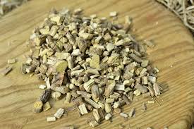 Image result for Helinus integrifolius