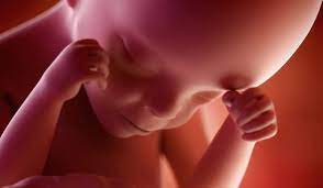 (en vrai les deux derniers avec la robe noire et la blanche je l'étais déjà de deux mois hihihih). 6e Mois De Grossesse Pour Bebe L Eveil Des Sens Doctissimo
