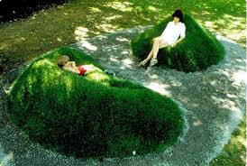Pin On Sedum And Grass Roof Tops