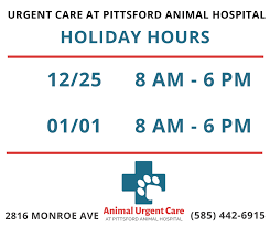 Find the urgent care facility closest to you. Animal Urgent Care Of Pittsford Pagina Inicial Facebook