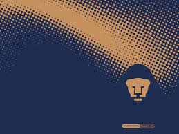 We did not find results for: Pumas Wallpapers Group 66