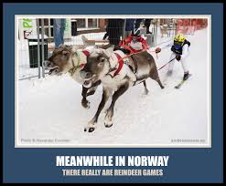 Meanwhile In Norway Meme There Really Are Reindeer Games Norwegian Sami Saami Ski Skiing Funny Humor From Norskarv Com Norway Skiing Memes Bones Funny