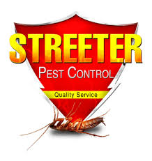 Bed bugs are starting to become a household name. F A Q Fort Lauderdale Pest Control Exterminator And Bed Bug Treatment