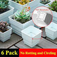 Selecting appropriate pots for indoor plants is much more than just choosing a pretty one. plant pots serve a more important function than just. Meshpot 6 Pack Plastic Square Succulent Planter Pot Cactus Plant Pot With Drainage Holes Good Vent Garden Supplies Home Decor Succulents Pots Roots Potpotting Succulents Aliexpress