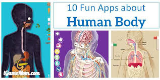 Why is there such a difference? 10 Apps For Kids To Learn About Human Body