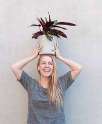 Image result for stromanthe