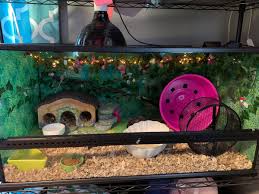 Tenrec Cage Cage Habitats Enclosure
