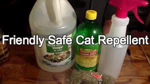 The first part will cover home remedies for training cats to stay away from furniture and other restricted areas inside your house. Friendly But Effective Cat Repellent 5 Steps With Pictures Instructables