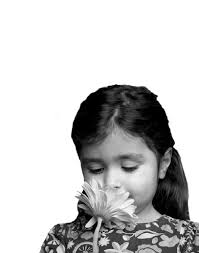 Focused Classrooms • Mindful Learning • Resilient Students