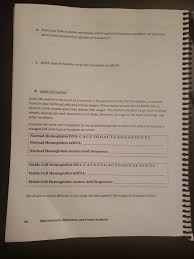 Solved B From Your Dna Mutation Worksheet Which Type S Chegg Com