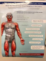Is It Cataplexy An Image Showing Multiple Ways Cataplexy Can Present Imgur Narcolepsy Image Shows Emotions