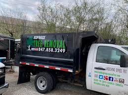 Check spelling or type a new query. Northbrook Park Ridge And Glenview Landscaping Showcase