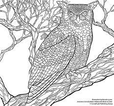 The pics are a combination of dover images (i can only use 10 from any coloring book without violating their rules) and pics from clip art etc. Cornell Bird Coloring Pages Coloring Pages