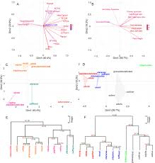 La portulaca è una pianta succulenta e infestante, dai fiori molto decorativi. Exploring C 4 Cam Plasticity Within The Portulaca Oleracea Complex Scientific Reports