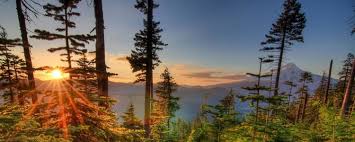 Apply for coverage and learn more about health plans in oregon. Oregon Health Insurance 2022 Coverage Guide Smartfinancial