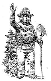 Smokey Bear Or Smokey The Bear Is An Advertising Mascot Created To Educate The Public About The Dangers Of Smokey The Bears Bear Coloring Pages Bear Carving