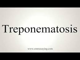 Image result for Treponematosis