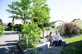 Hier finden sie alles für den ambitionierten heimwerker und hobbygärtner. Zaunteam Zaune Und Tore Fur Heim Und Garten