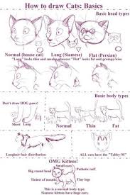 61 Trendy How To Draw A Dog Eye Step By Step Cat Drawing Tutorial Cat Drawing Cat Anatomy