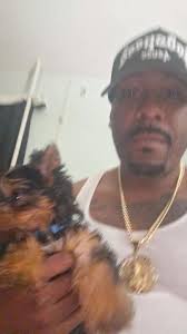 Genmist Goes to Brooklyn