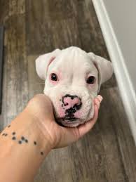 Keith Miller is this week's Tiktok star! 🤣