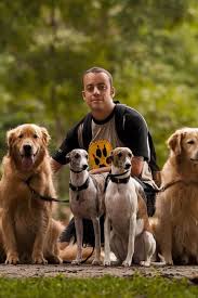 Pet sitter plus is packed with great features like modern design. Cuidar De Caes E Gatos Esta Em Alta Pet Sitter E Dog Walker Tem Renda De Ate R 3 Mil Capacitacao Extra Online
