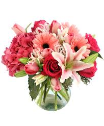 Local community partners help the department of children and families provide services to florida families. Clearwater Florist