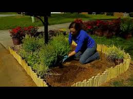 Yes, i occasionally throw some in. Plant This Mailbox Garden With Reblooming Encore Azaleas And Companion Plants Youtube