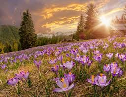 We did not find results for: Best Time To Visit Valley Of Flowers Weather Temperature