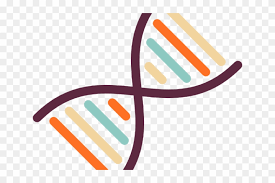 Computer icons science scientist , science transparent background png clipart. Dna Structure Clipart Clipart Transparent Background Transparent Background Science Clipart Free Transparent Png Clipart Images Download