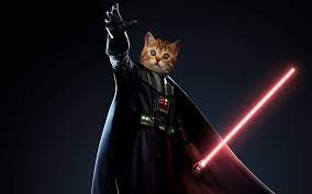 To make this cute pusheen yoda appear in your screen and please your eye i prepared cute pucheen cursors. Darth Vader Cat Star Wars Catsstar Wars Cats