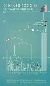 Pin By Vishal Kushwah On Evolution Origin Data Visualization Design Data Visualization Information Visualization