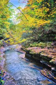 Choose from a curated selection of new york city wallpapers for your mobile and desktop screens. Morning Beauty At Watkins Glen State Park Finger Lakes New York Photograph By Lynn Bauer