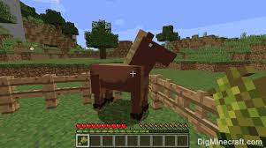 10 = 22 extra hearts. How To Feed A Horse In Minecraft