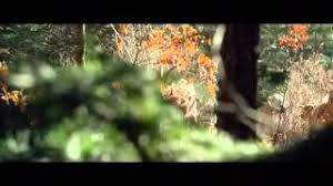 Film streaming » film streaming » du sang et des larmes. Du Sang Et Des Larmes 2013 Streaming Bluray Light Vf Youtube